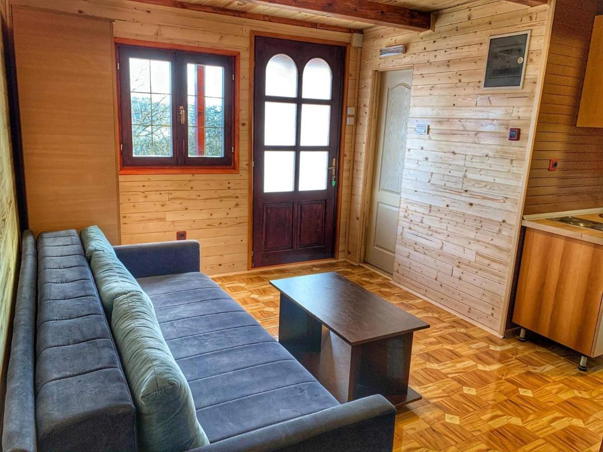 Brvnare Cirkovic Villa Zlatibor Exterior foto