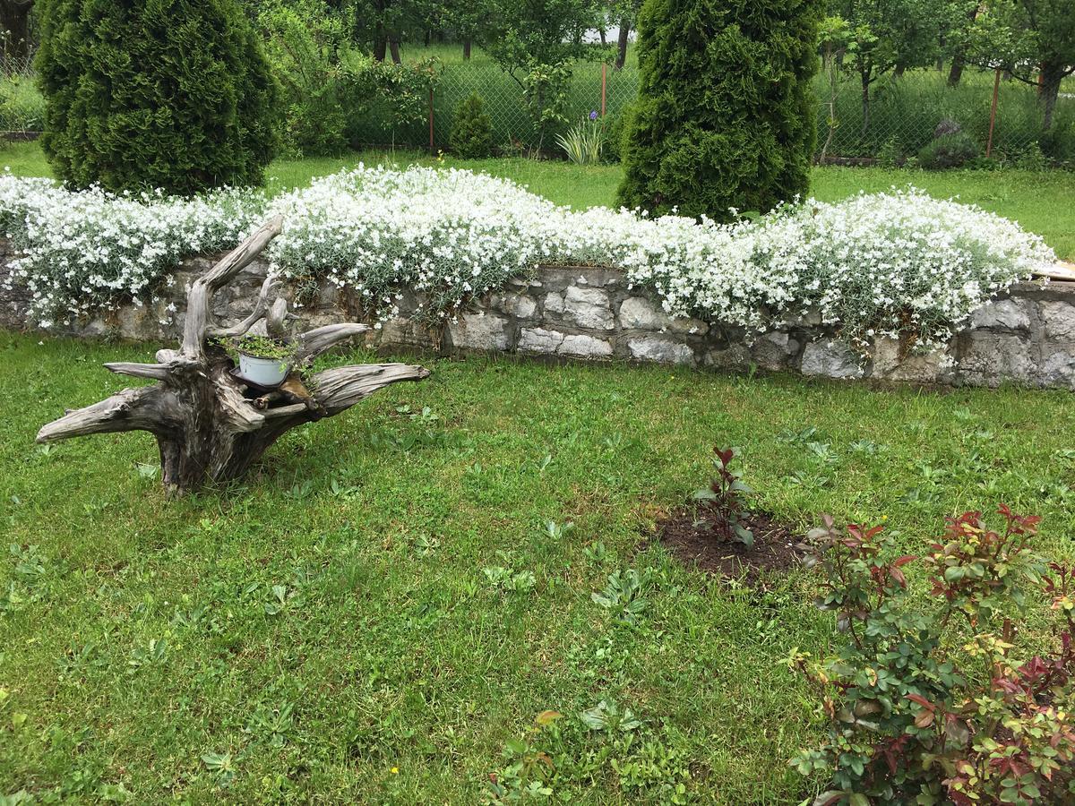 Brvnare Cirkovic Villa Zlatibor Exterior foto