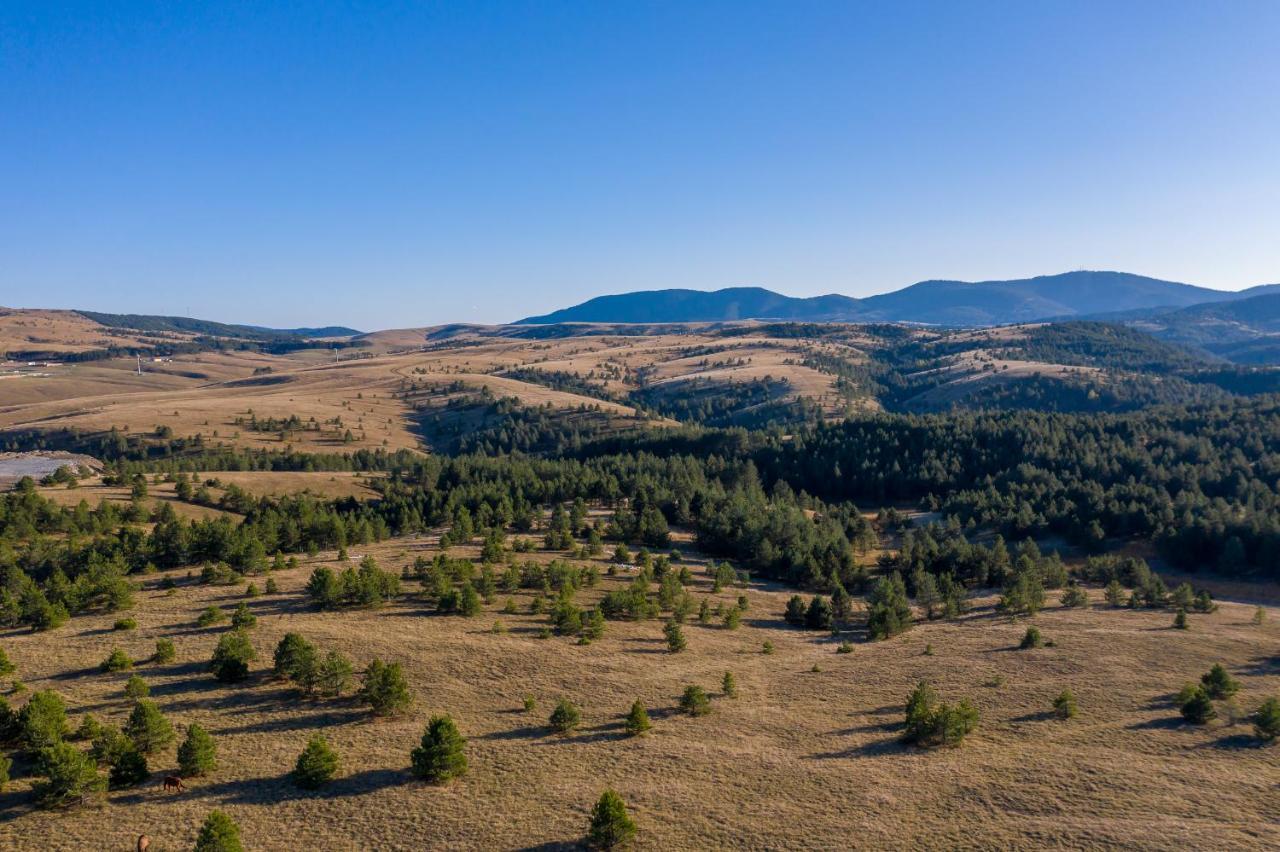 Brvnare Cirkovic Villa Zlatibor Exterior foto